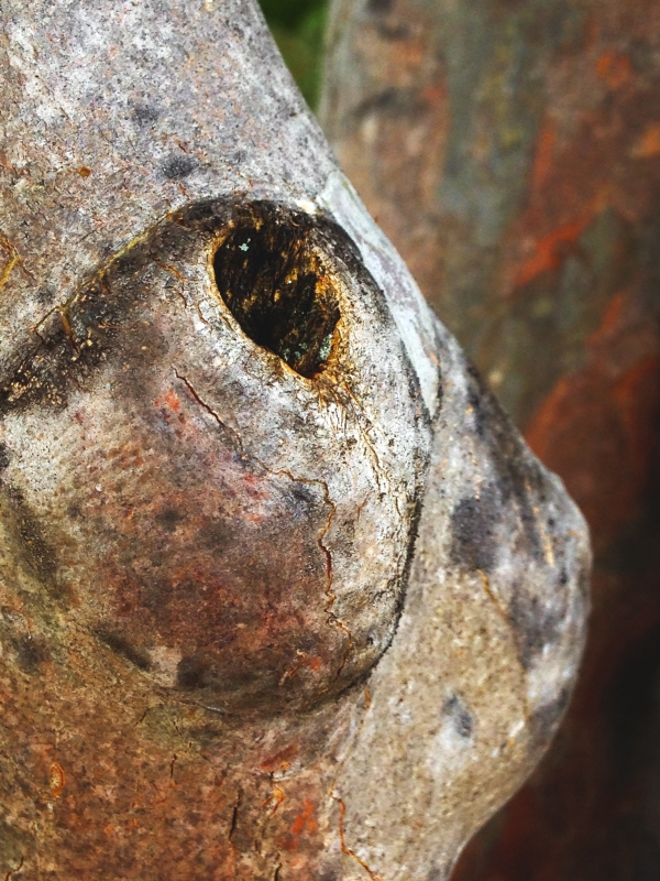 In the Eye by artist Andres Cavazos